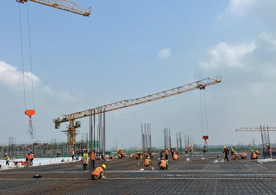 标准员资格证书照片-标准员资格证照